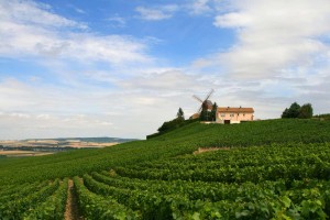 La Route du Champagne