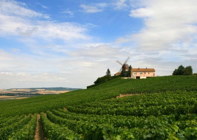 La Route du Champagne