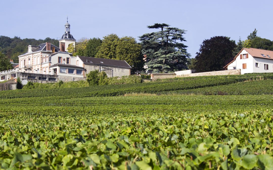 Taste and discover champagne with Champagne Travel