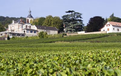 Taste and discover champagne with Champagne Travel